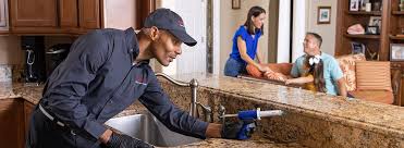 Pest Control for Restaurants and Food Service in Bullhead City, AZ