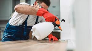 Emergency Pest Control in Bullhead City, AZ